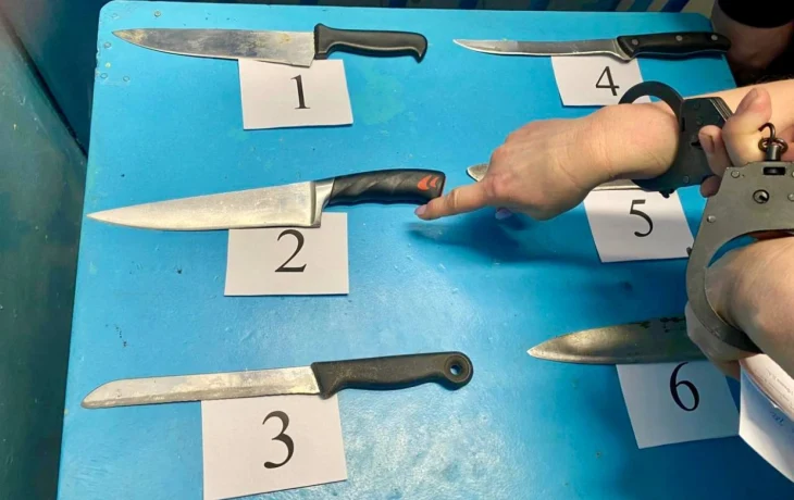 В Мирном арестована женщина, обвиняемая в убийстве