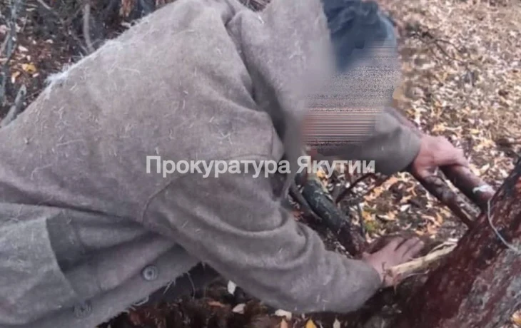 Житель Абыйском районе незаконно добыл троих медведей, поставив петли из металлических тросов