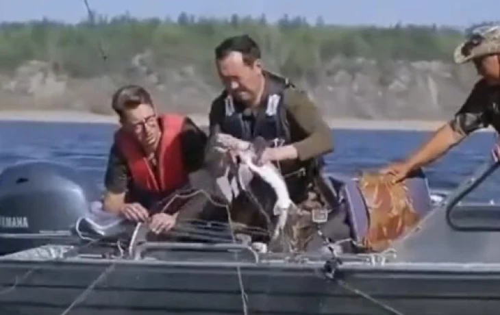 Хатыыһы балыктыыр көҥүллэнэр дуо?