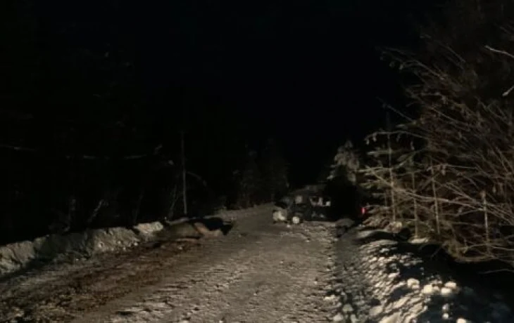 Хайс наехал на лошадей на ночной дороге — пострадал ребенок