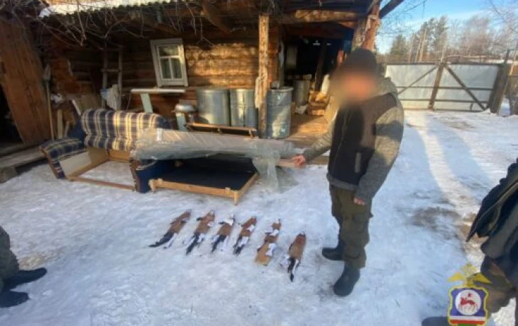 Лесные войны: Задержан браконьер