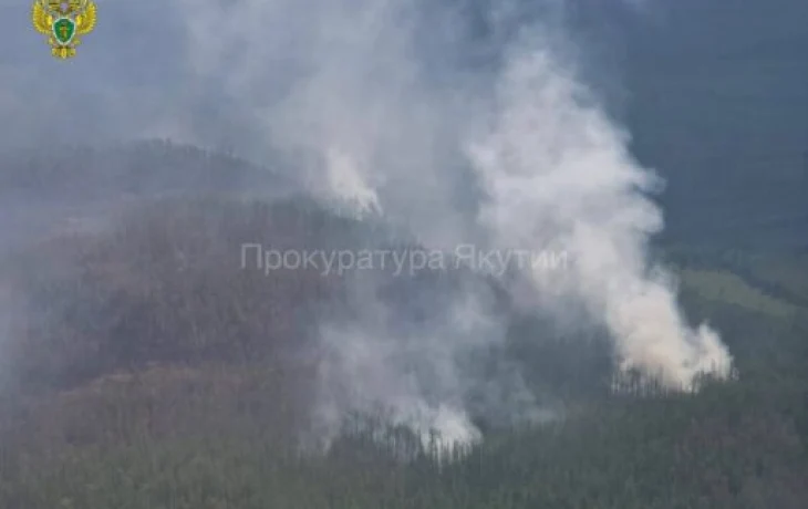 За устроенный лесной пожар с якутянина взыскали 600 тысяч рублей