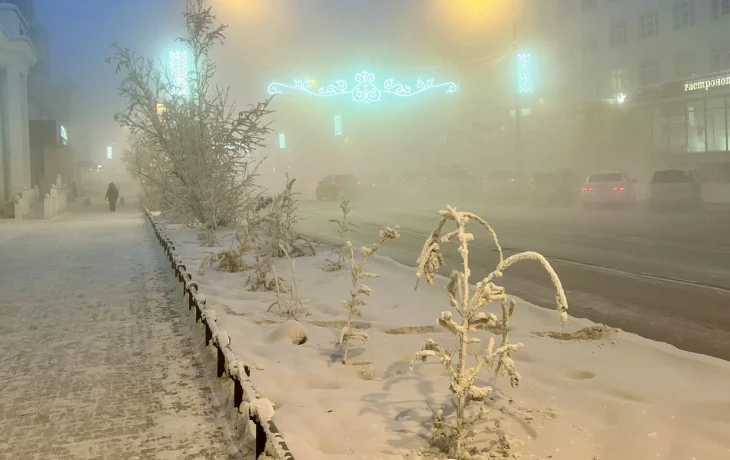 Прогноз погоды на 29 января: В Якутске ночью и утром туман