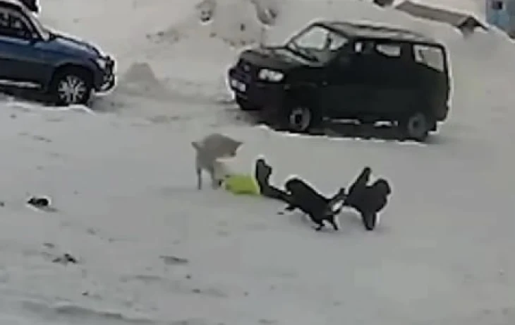 Отец погибшей в Чульмане девочки собирается на прием в Москву