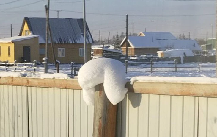 Вдохновение &ndash; в самой природе: Настало время снять зимнюю шапку