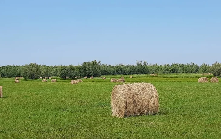 Отчуттар, сөмөлүөккэ күтүрээмэҥ, айылҕа бэйэтин ардаҕа түһэр