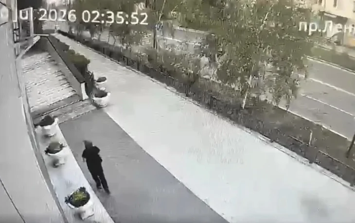 Женщина в Якутске украла 33 куста цветов с клумбы после ссоры с сожителем