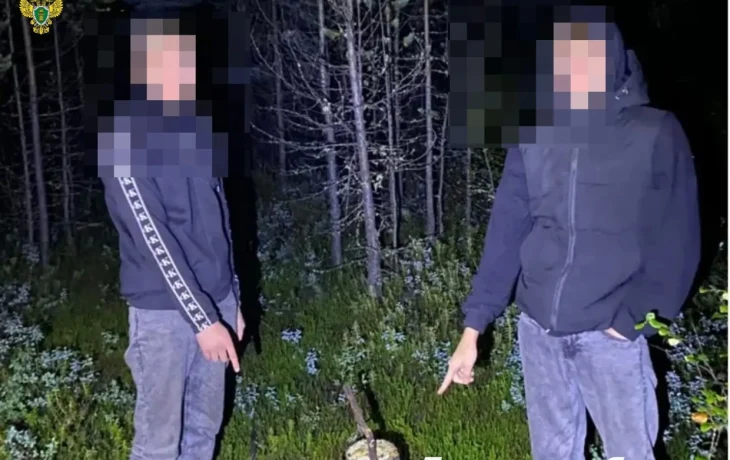 В Нерюнгри двое 20-летних жителей Иркутской области осуждены за покушение на сбыт наркотиков в особо крупном размере