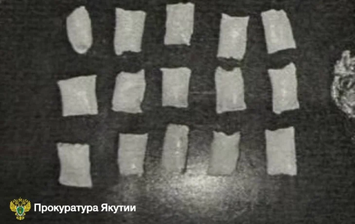 18-летняя якутянка получила 6 лет колонии за попытку распространения наркотиков