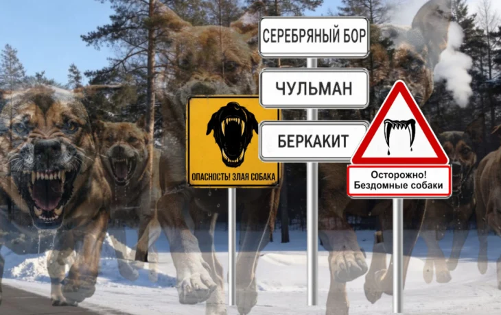 &laquo;Он хотел подарить сережки внучкам&raquo;: семья погибшего от собак мужчины рассказала о его мечте