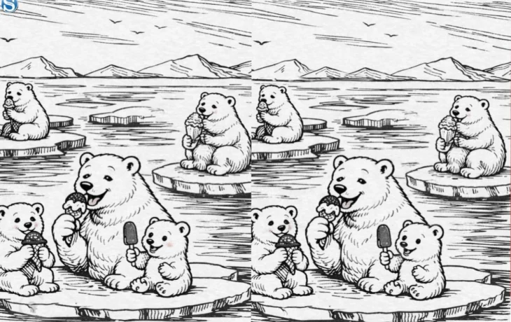 Тест на внимательность: мишки едят мороженое. Найдите три отличия за 5 секунд!