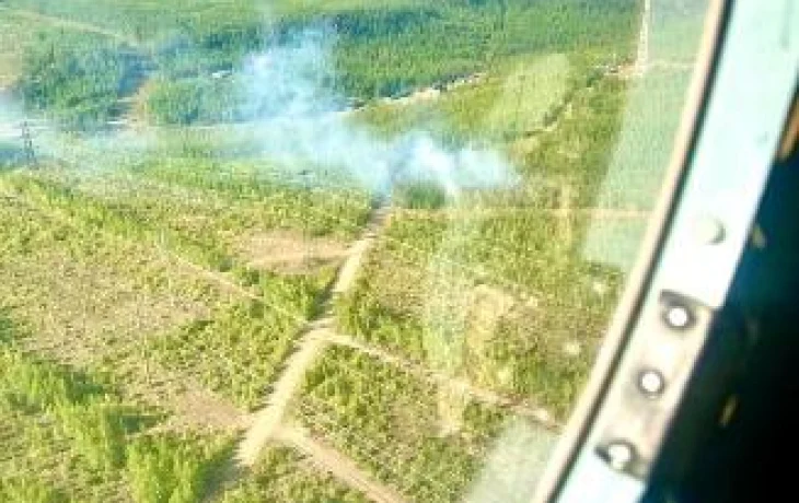 Этим летом работники КСК АЛРОСА предотвратили лесной пожар