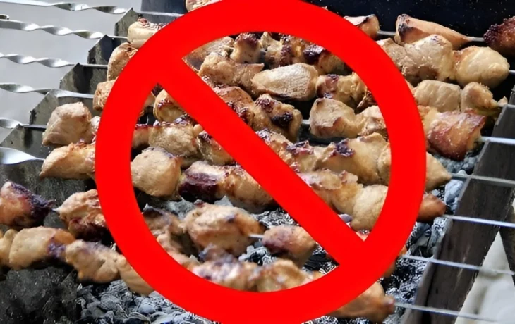 В Якутске введён особый противопожарный режим: въезд в леса запрещён, мангалы &mdash; под запретом