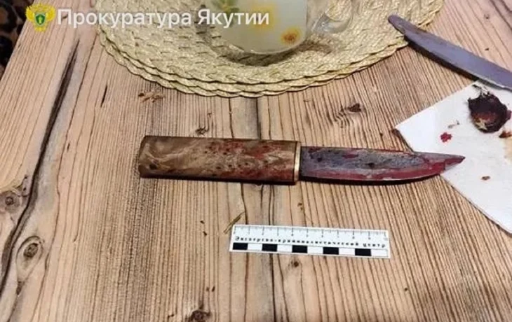 Пенсионера осудили за убийство пасынка в Мирном