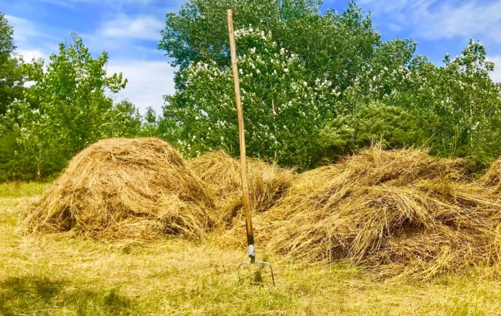 Уот куйаас аргыстаах, Аан Алахчын айыыһыттаах от ыйа үүннэ