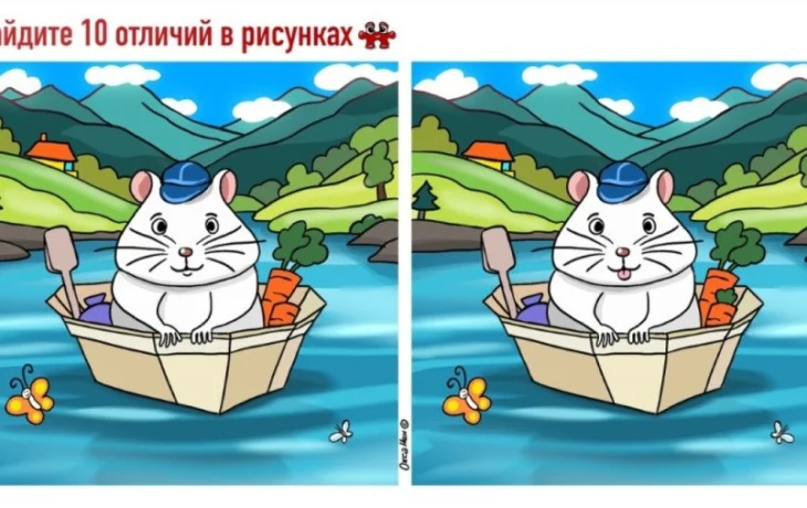 Хомяк в лодке и 10 секретов: найдите все отличия за 55 секунд &nbsp;&mdash; проверь свою внимательность