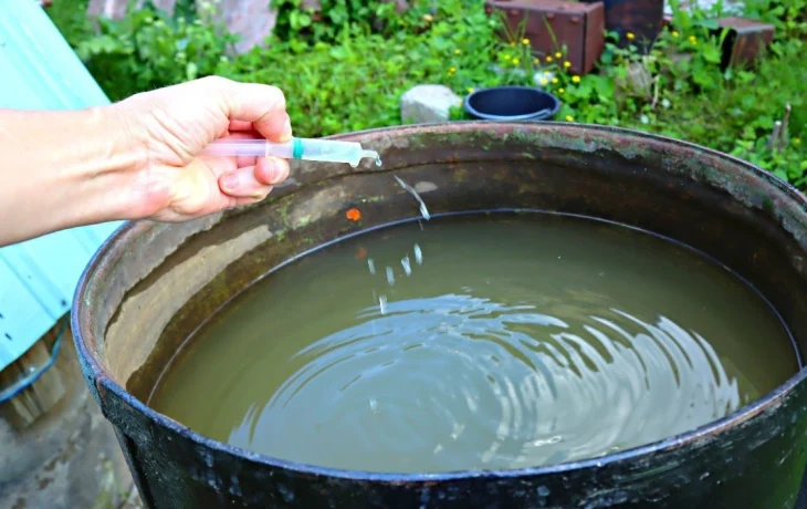 Вода в бочке больше не зацветёт: используйте 4 народных способа