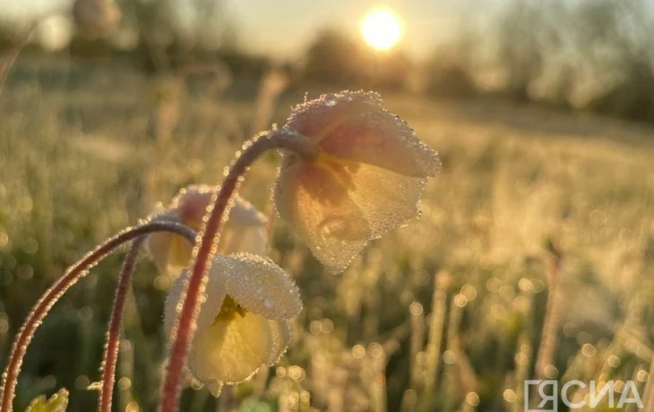 Заморозки ожидаются в Якутске и многих районах