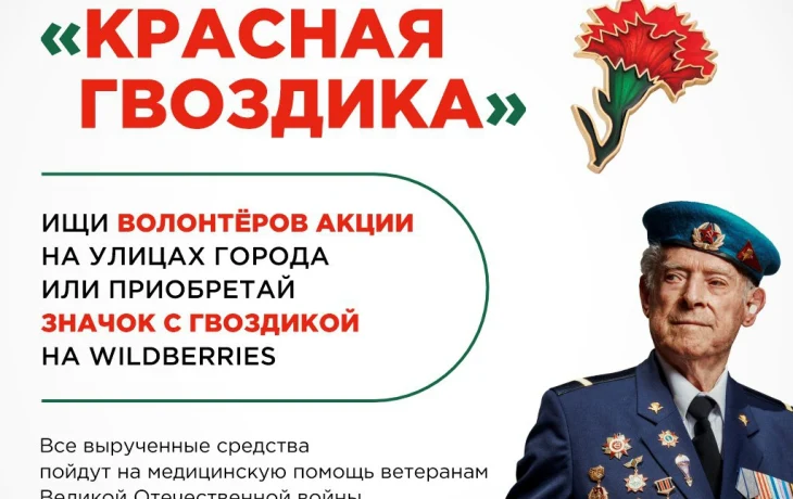 В апреле стартует всероссийская акция помощи ветеранам &laquo;Красная гвоздика&raquo;
