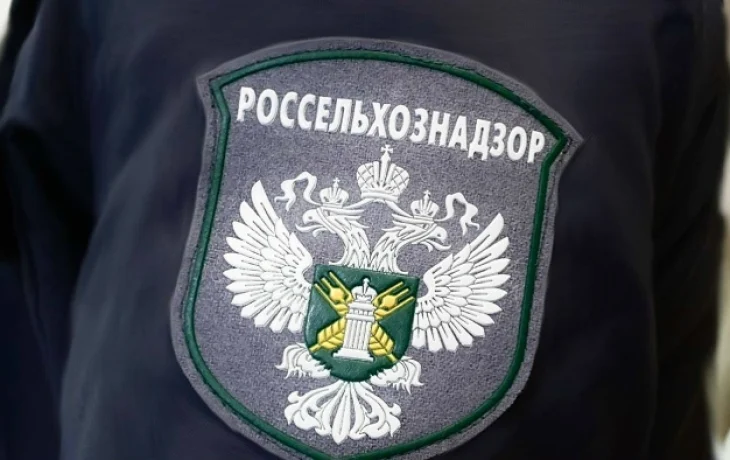 В Якутию пытались завезти 2 альпак и 59 подсадных уток без сопроводительных документов