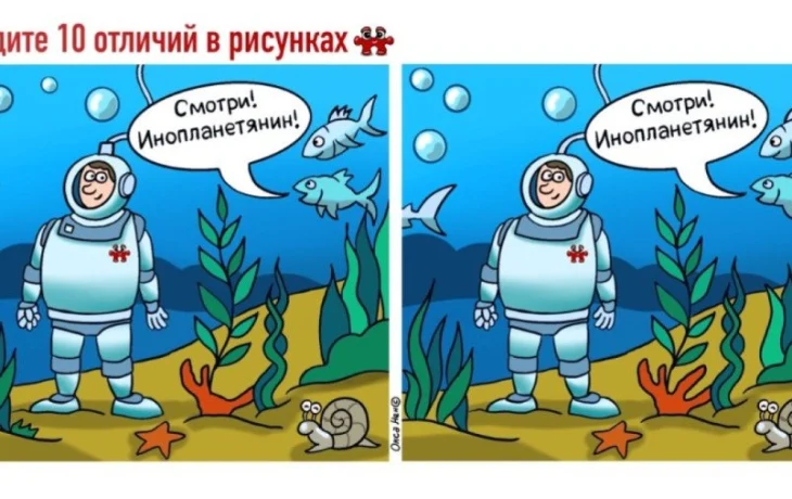 Тайны морского дна: найдите 10 отличий между рыбами и&nbsp;водолазом за&nbsp;55 секунд