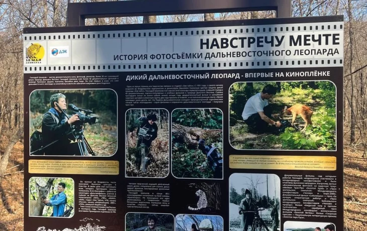 Более тридцати миллионов рублей выделила ДЭК на адресную поддержку благотворительных проектов