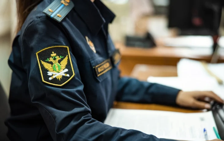 Дело о долге в 200 миллионов: Интеллектуальная собственность предприятия-должника ушла с молотка