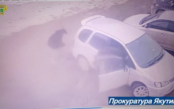 В Якутске водитель с 20-летним стажем сдал назад и сбил 2-летнего ребенка на парковке: малыш получил тяжелые травмы