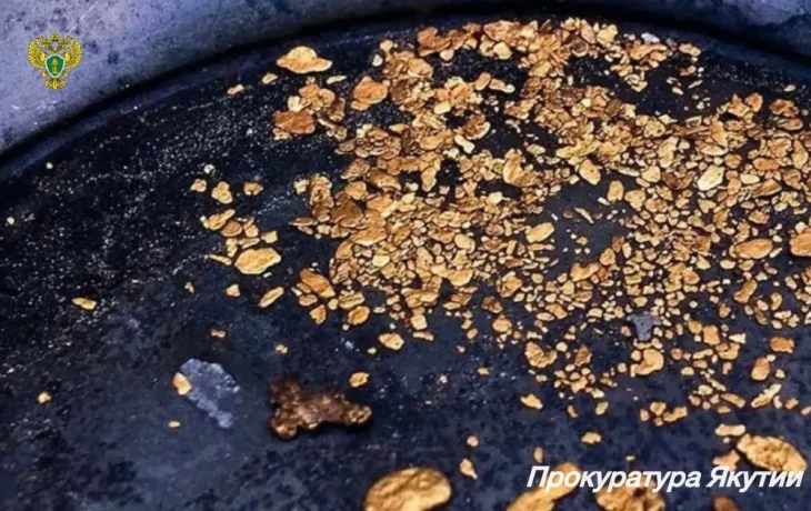 В Якутии полкилограмма золота и ювелирных изделий признали бесхозяйными и передали государству