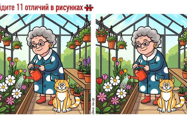 Загадка для&nbsp;самых зорких: найдите 11 отличий на&nbsp;картинке в&nbsp;теплице за&nbsp;45 секунд