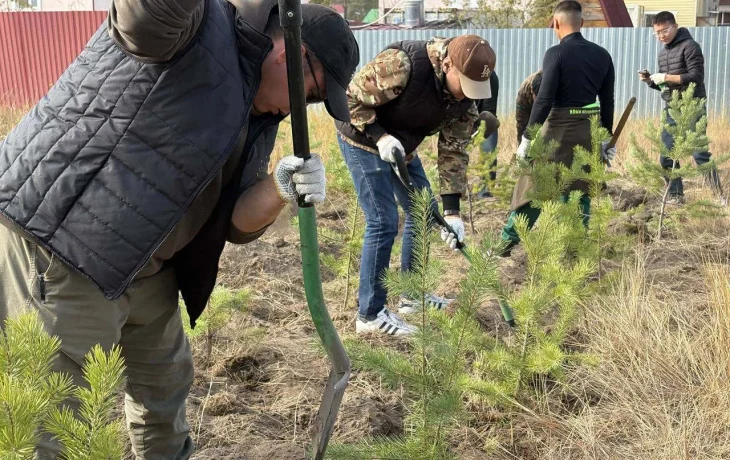 В Якутии в этом году восстановили леса на площади 9190 га
