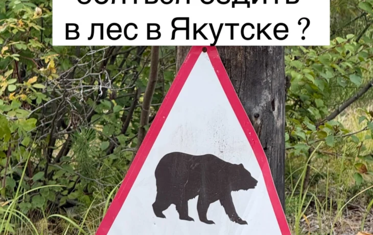 &laquo;Даже возле Якутска в лес съездить уже страшно&raquo;: горожанка рассказала о тревоге из-за медведей