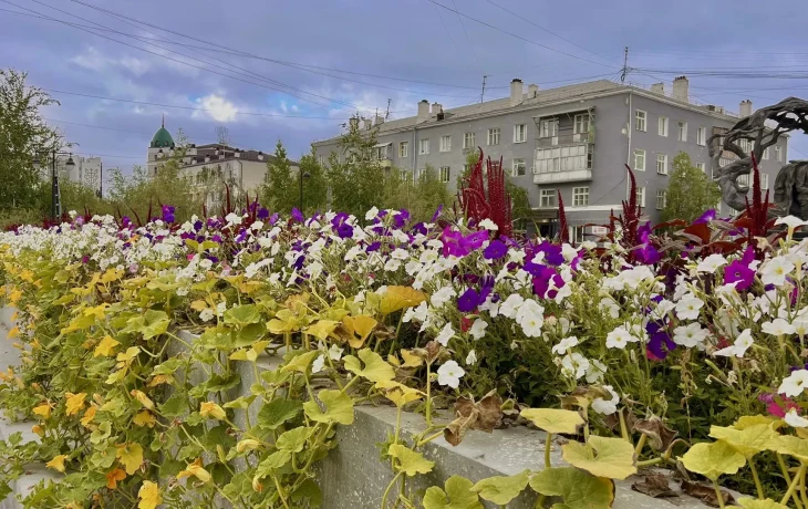 Погода в Якутске на 22 августа: преимущественно без осадков