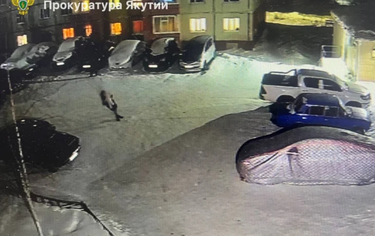 В Нерюнгри суд взыскал моральный вред, причиненный ребенку в результате падения