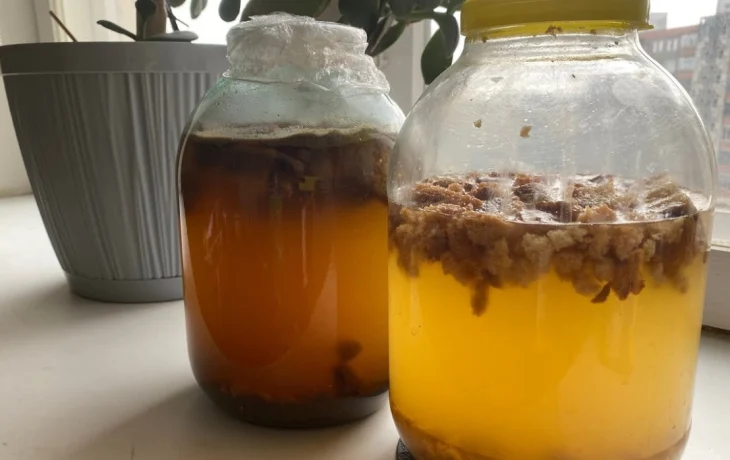 Домашний квас как в детстве: рецепт на сухарях и бонусом &mdash; хитрость