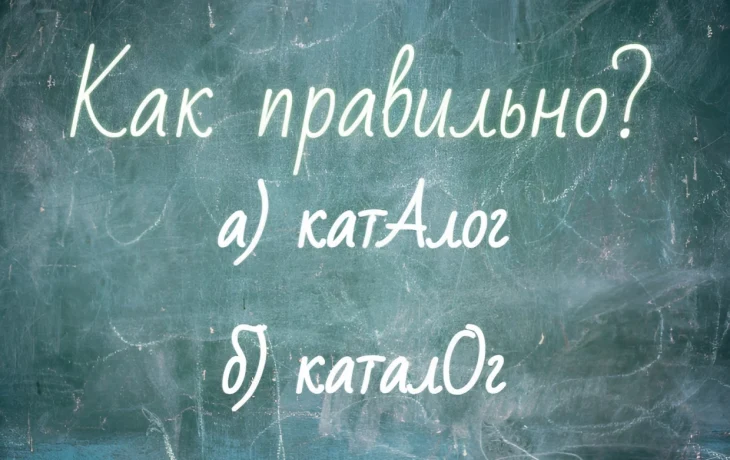 Куда падает ударение в слове &laquo;каталог&raquo;? Тест по русскому языку покажет вашу грамотность