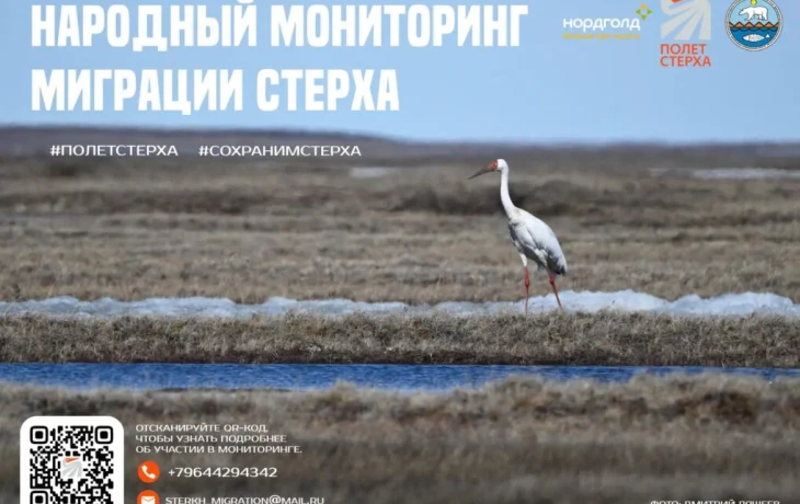 Жителей Якутии пригласили принять участие в народном мониторинге стерха