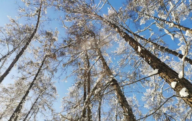 На юго-западе Якутии 28 апреля воздух прогреется до +17&deg;С