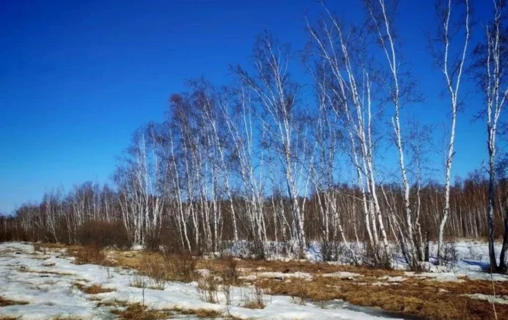От -25 до +15&deg;: о погоде в Якутии 27 апреля