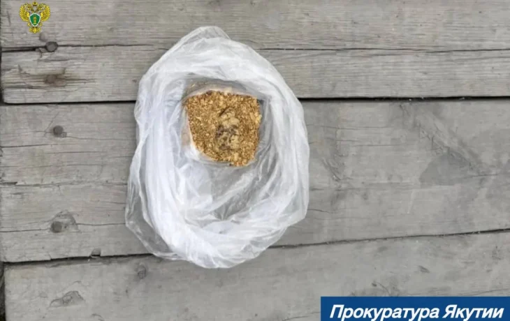 Житель Якутии лишился автомобиля и золота на 3,6 млн рублей за незаконный оборот драгметаллов