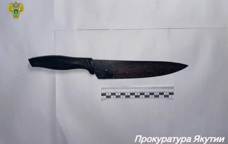 Жительница Мирного осуждена на 6,5 лет колонии за убийство мужа