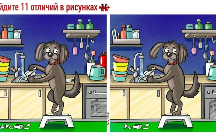 Тест на&nbsp;внимательность: найдите 11 отличий на&nbsp;картинке с&nbsp;пёсиком за&nbsp;60 секунд