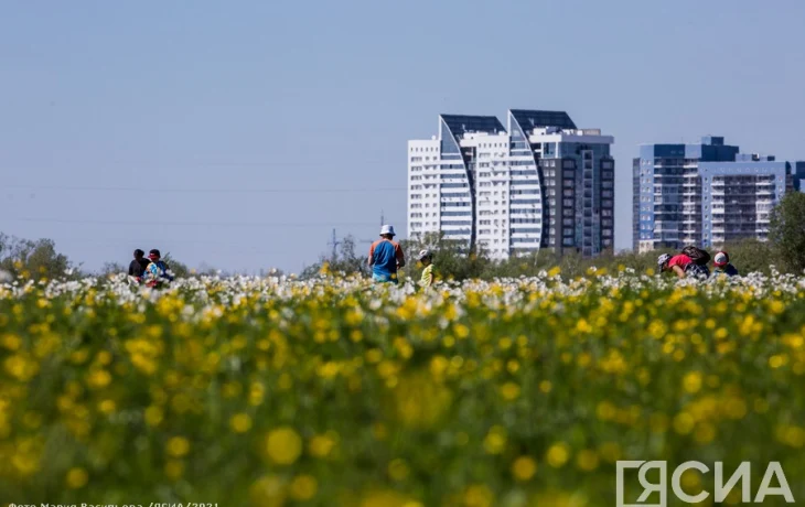 Прогноз погоды в Якутске на вторник, 16 июня