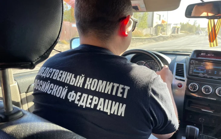 В Ленском районе Якутии стая собак напала на мужчину