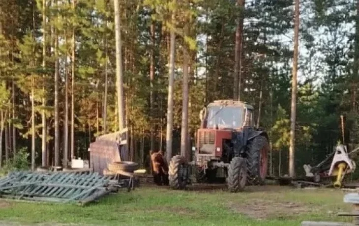 В Ленском районе участились случаи выхода медведей к населенным пунктам