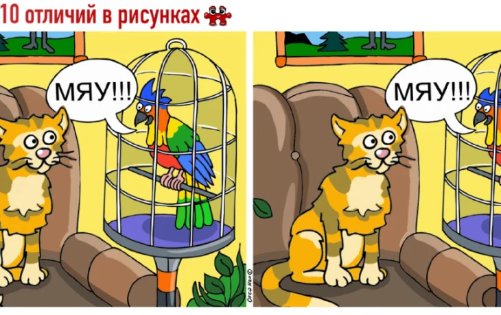 Тест на&nbsp;внимательность: найдите 10 отличий на&nbsp;картинке с&nbsp;говорящим попугаем, которые ставят в&nbsp;тупик даже отличников