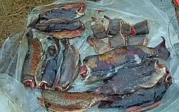 В Якутии мужчина ответит в суде за браконьерство