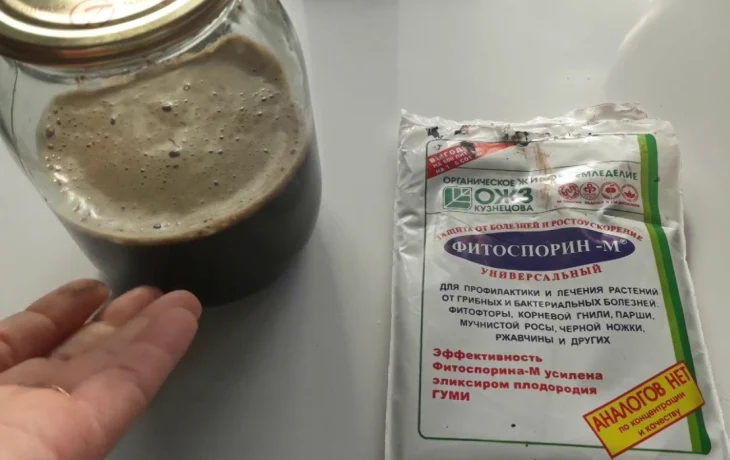 Универсальное средство от&nbsp;болезней: как&nbsp;правильно приготовить Фитоспорин-М для&nbsp;растений