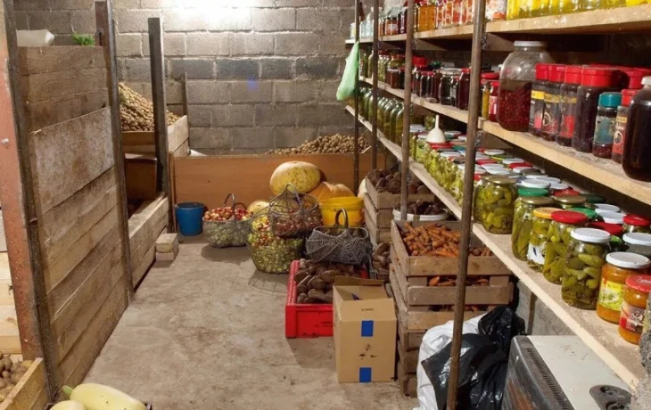 Как убрать сырость и плесень в погребе: рабочий способ с копеечным продуктом сделает его сухим