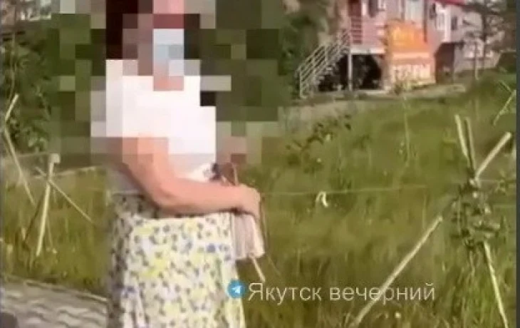 В Якутске женщина ударила и обматерила шестилетнюю девочку? Следком начал проверку